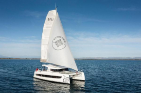 Dortoka Catamarán